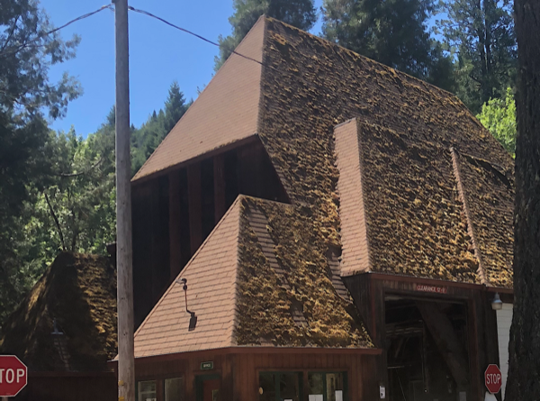 mossy roof