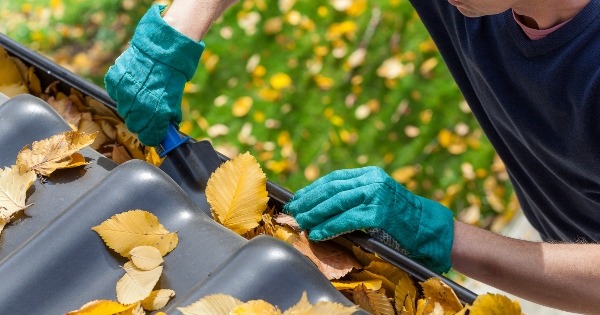 cleaning gutters